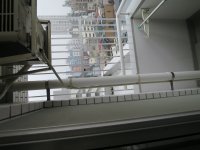 IMG_0498.JPG